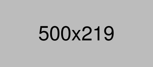 Global TBR1 syndrome support network