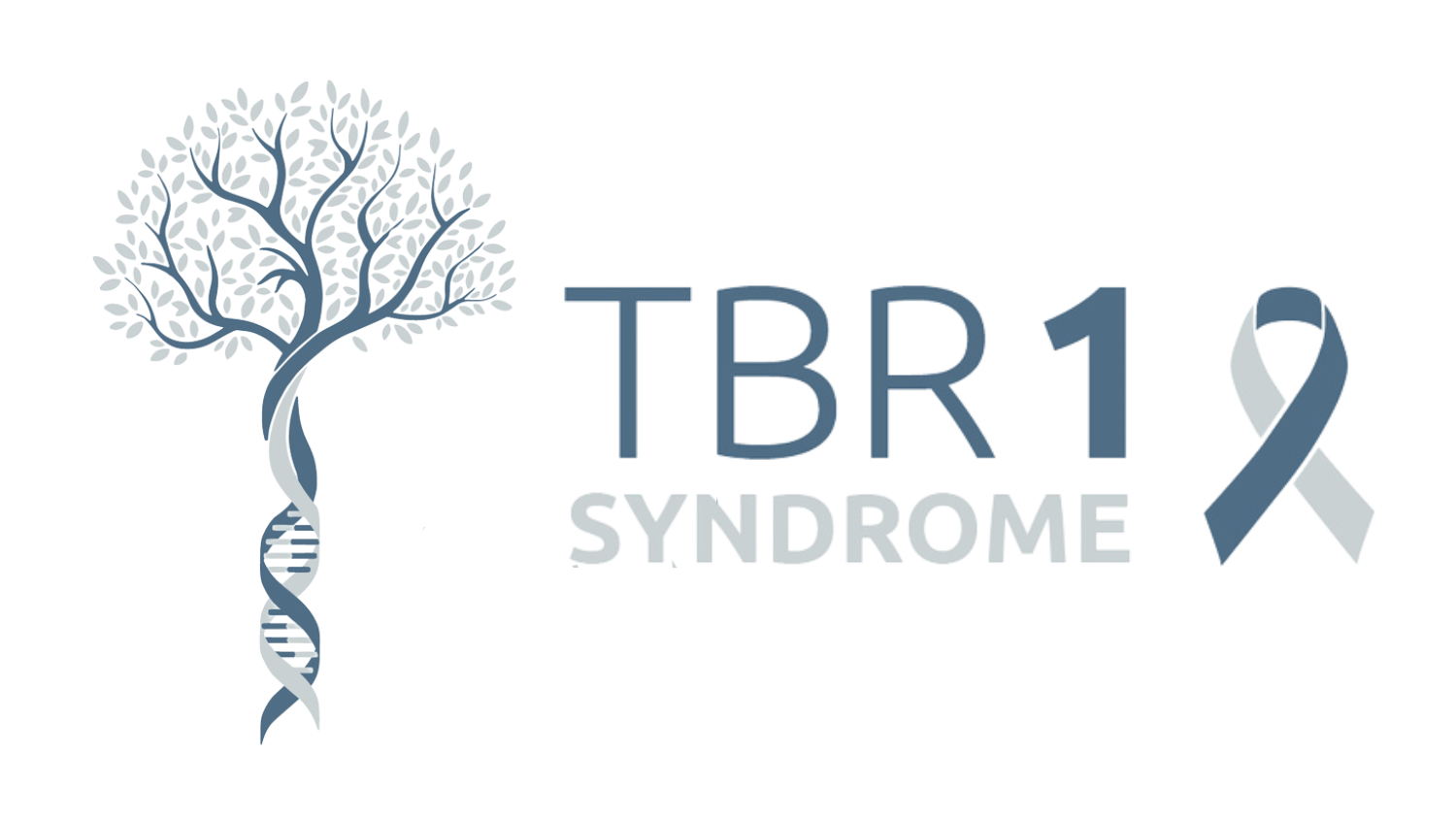 TBR1 Syndrome
